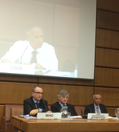 Fifth intersessional meeting of the Commission on Narcotic Drugs: Left to right: Dr Gilles Forte (WHO), Dr Stefano Berterame (INCB), Dr Gilberto Gerra (INCB); Ambassador Shamaa (Egypt) CND Chair (screen)